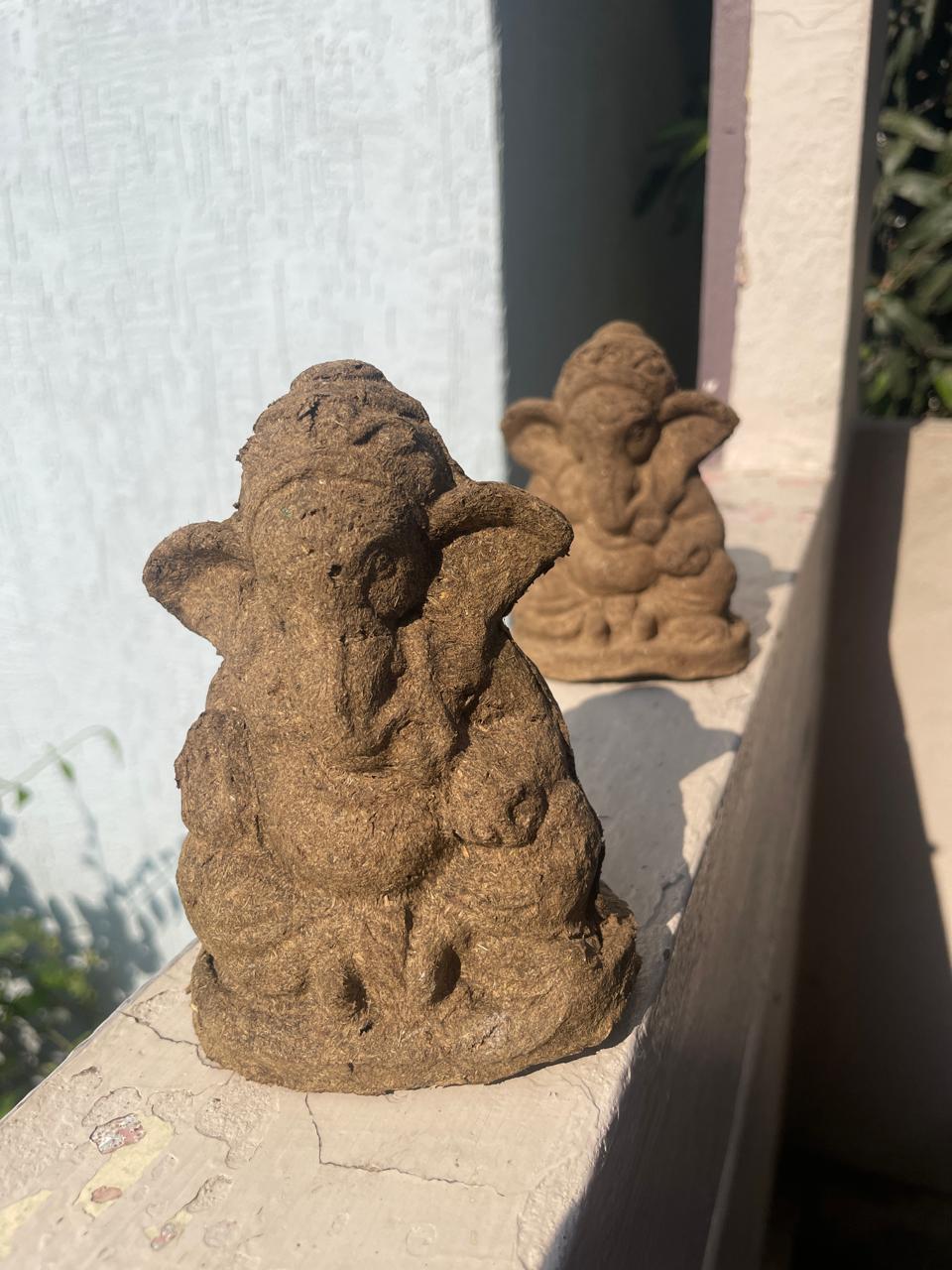 Gomaya Ganapathi (4 inch)